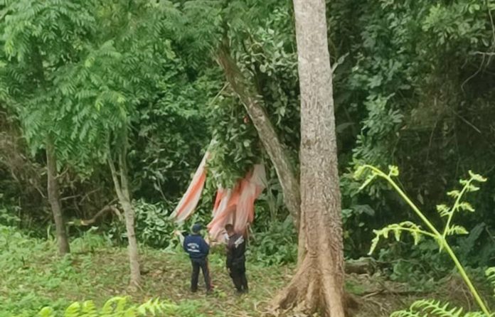 Imagen de la noticia: Militar venezolano murió al estrellarse Sukhoi este domingo