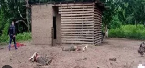 Imagen de la noticia: Estado Guárico: Localizaron cuatro cadáveres con las manos atadas y disparos