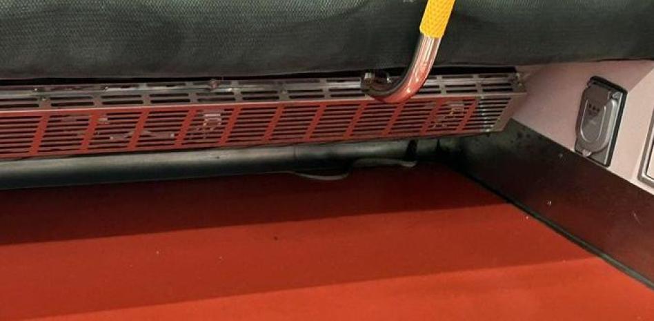 Imagen de la noticia: Una serpiente en un tren causó conmoción en Tokio