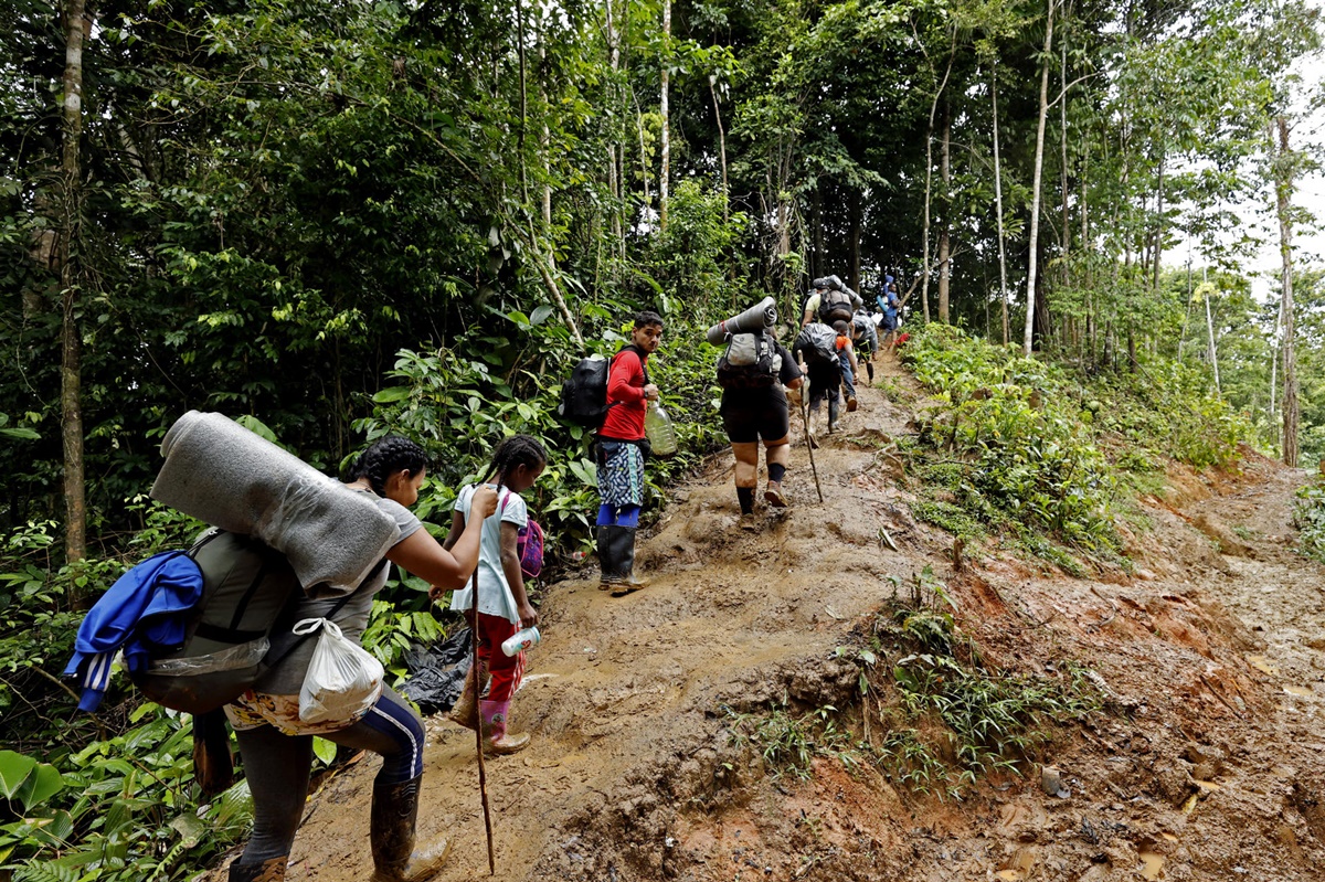 Imagen de la noticia: Cae 40% el ingreso a Panamá de migrantes a través de la selva del Darién