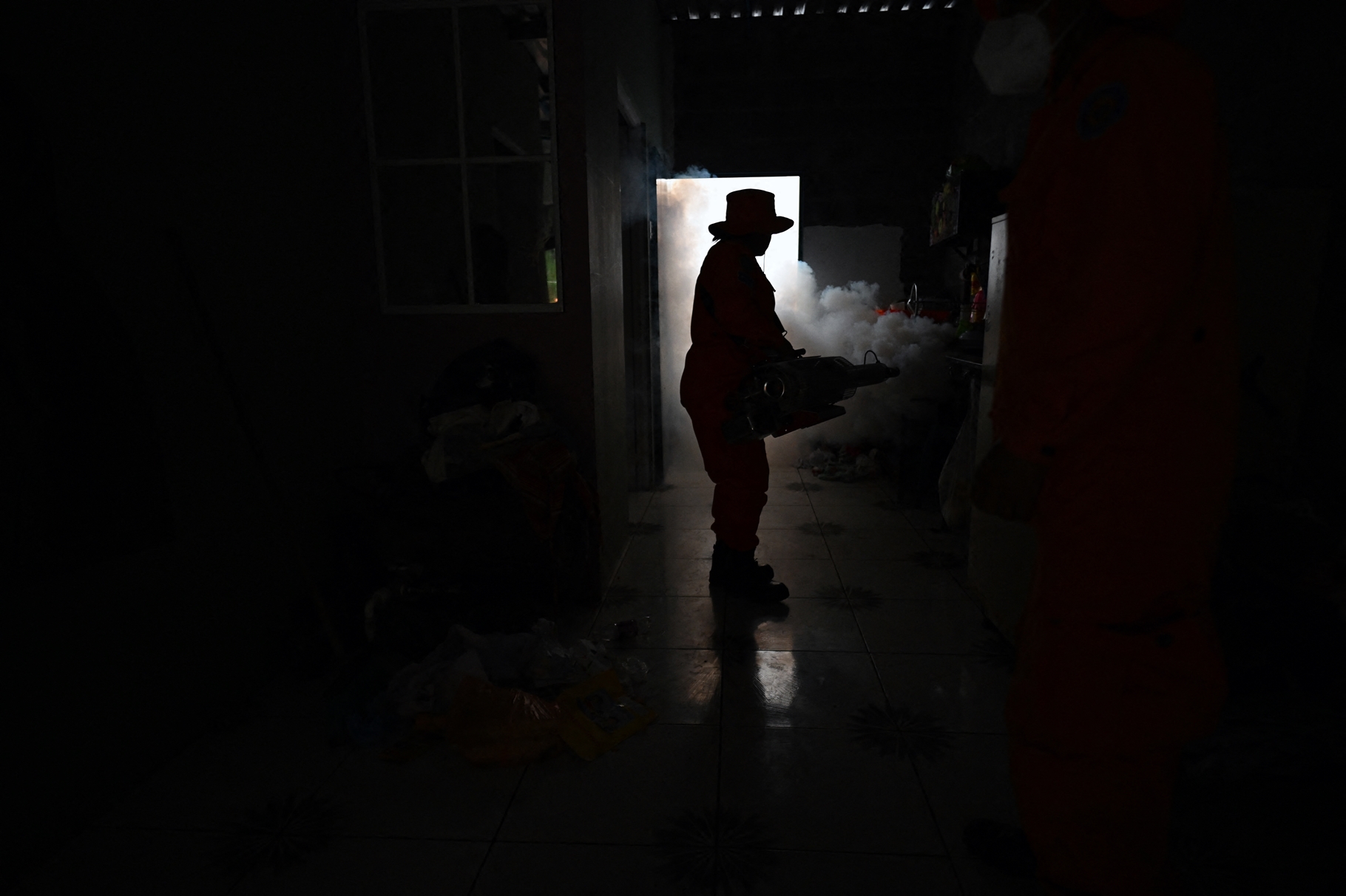Imagen de la noticia: Las Américas enfrentan la epidemia de dengue más grande desde 1980