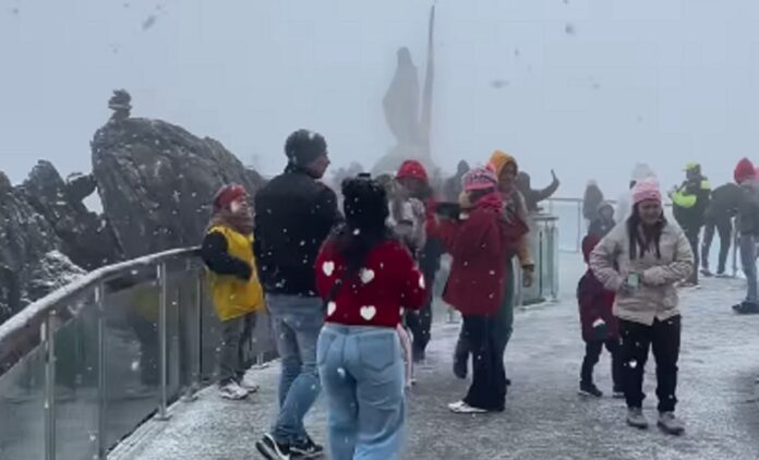 Imagen de la noticia: Estado Mérida comienza enero con una nevada en Pico Espejo