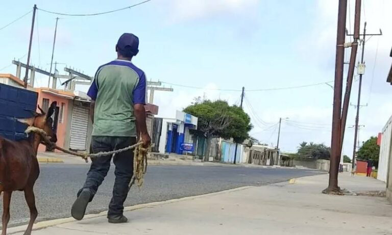 Imagen de la noticia: Municipio Guajira: Inseguridad en Paraguaipoa sigue en aumento tras registrarse un nuevo atraco