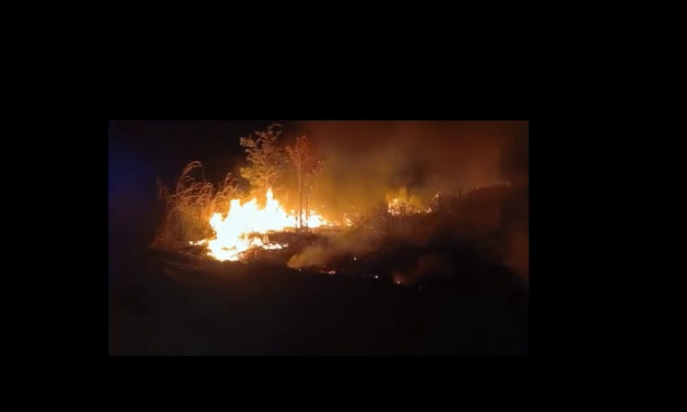 Imagen de la noticia: Municipio Machiques de Perijá: Denuncian muerte de ganado por incendio provocado en finca de Machiques