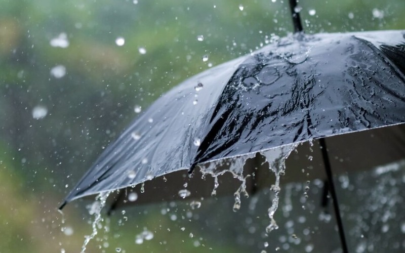 Imagen de la noticia: Inameh pronostica precipitaciones para este domingo en diversas regiones del país