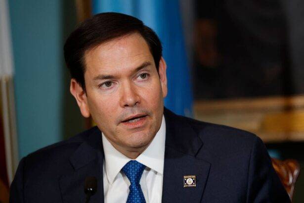 Imagen de la noticia: Los opositores que estaban refugiados en la embajada argentina, afirmó Marco Rubio