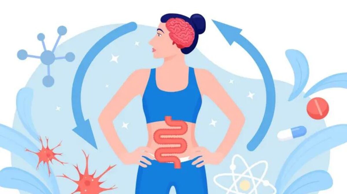 Imagen de la noticia: Por qué la conexión entre el intestino y el cerebro es tan importante para nuestra salud