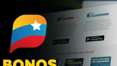 Imagen de la noticia: Éstos son los bonos Patria que se entregarán entre el 19 y el 25 de mayo