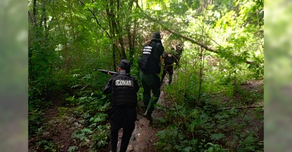Imagen de la noticia: La FANB Abate a Cuatro Delincuentes Pertenecientes al «Tren del Llano» en Guárico