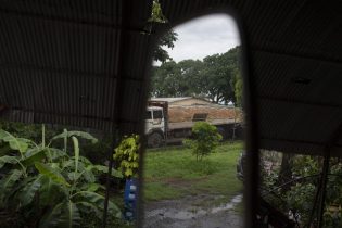 Imagen de la noticia: Productores agrícolas en picada: caída de ventas y altos costos ahogan el campo venezolano