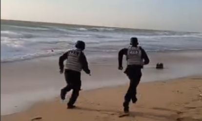 Imagen de la noticia: PNB incauta 26 kilos de marihuana en playa falconiana
