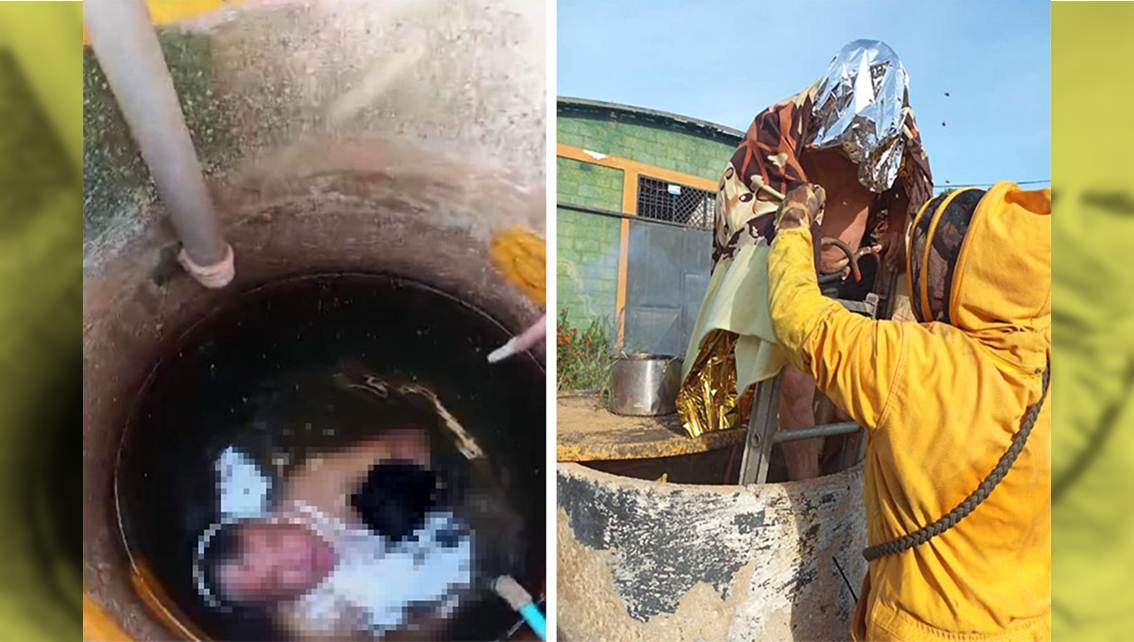 Imagen de la noticia: Rescatan a hombre atacado por enjambre de abejas en tanque subterráneo