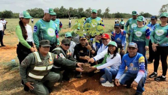 Imagen de la noticia: Reforestación en Las Piñas: 5.000 árboles para la vida y el clima