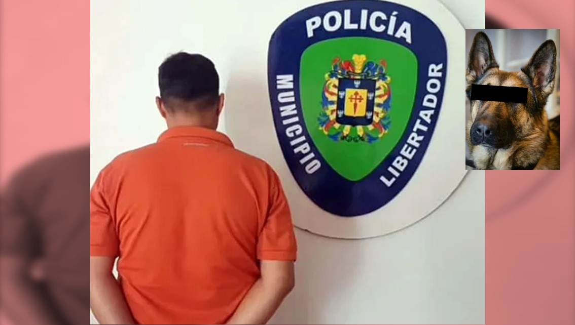 Imagen de la noticia: Denuncian presunto abuso sexual contra perro en Mérida y aprehenden a sospechoso