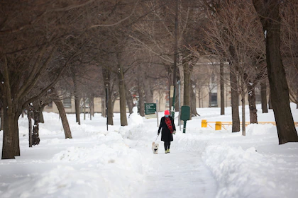 Imagen de la noticia: Una tormenta invernal de gran magnitud afecta a más de 84 millones de personas en Estados Unidos