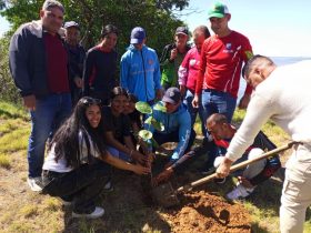 Imagen de la noticia: Realizan jornada de plantación de árboles en el Boulevard Costanero de Cabimas