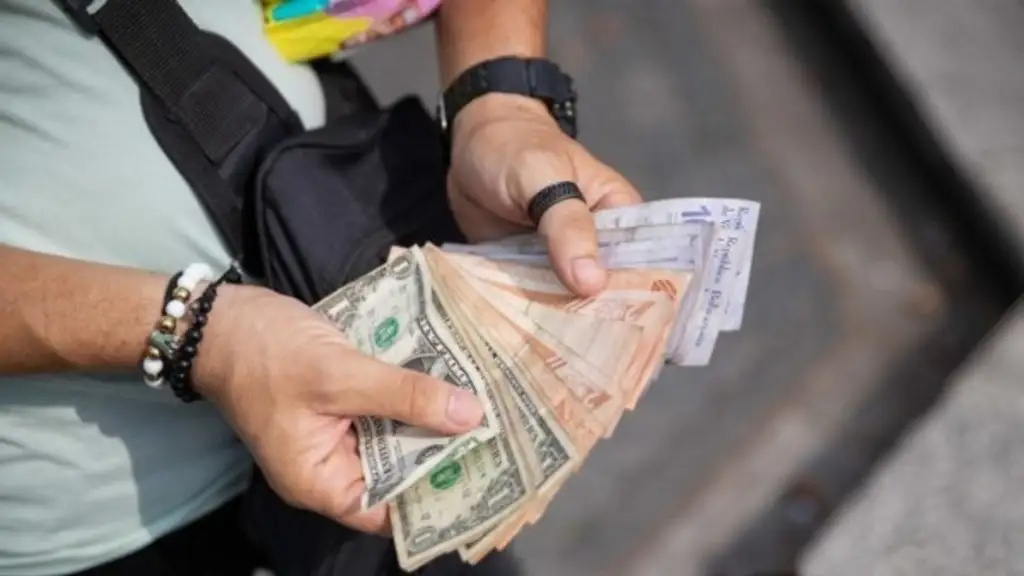 Imagen de la noticia: Dólar y euro BCV para los días 31 de diciembre y 1 de enero: así se cotizan las divisas extranjeras