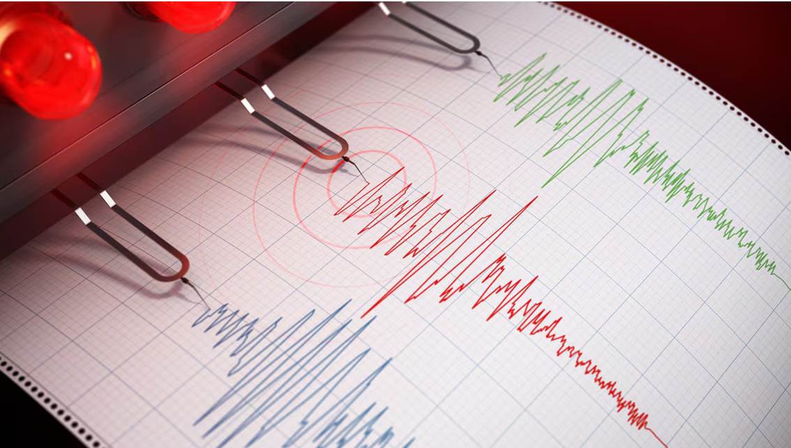 Imagen de la noticia: Un fuerte sismo de magnitud 6,5 sacude el suroeste de México