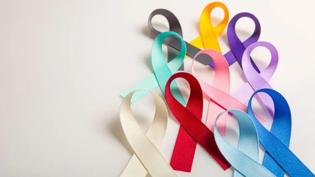 Imagen de la noticia: Día Mundial contra el Cáncer