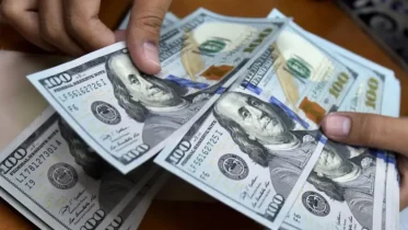 Imagen de la noticia: BCV autoriza a más bancos para vender dólares: Conozca la lista completa aquí