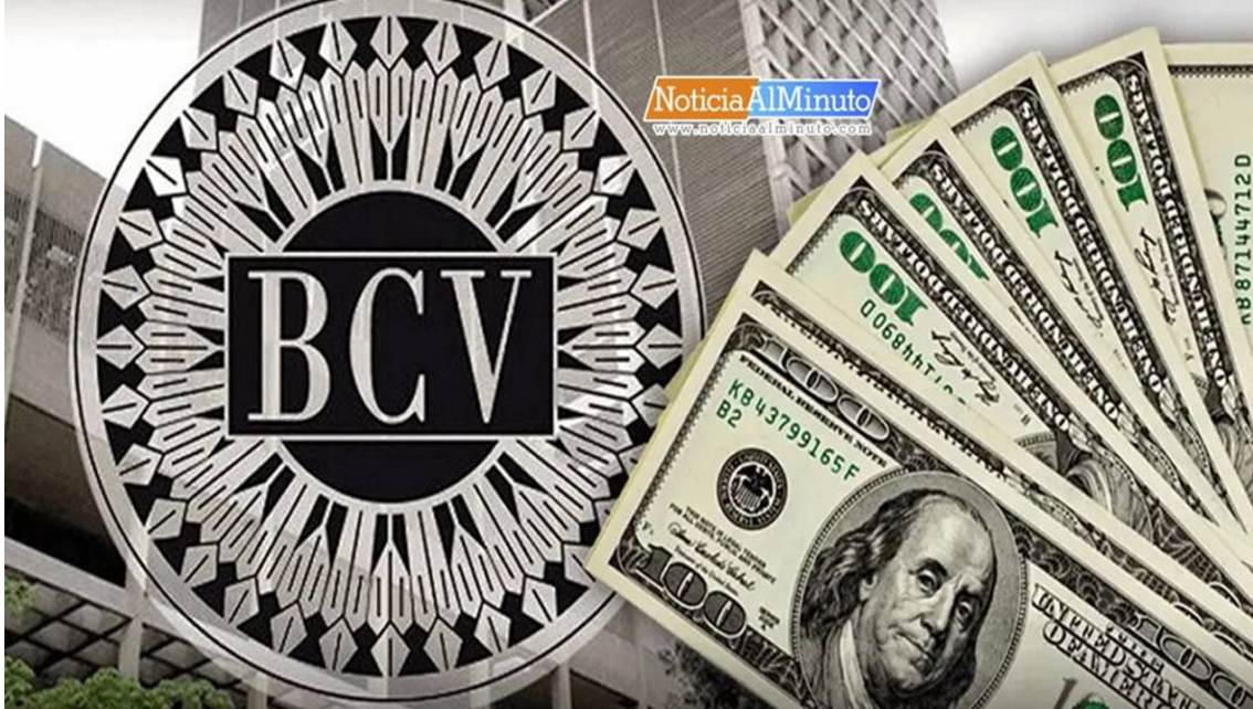 Imagen de la noticia: Dólar y euro BCV para hoy sábado 14 de marzo: así se cotizan las monedas oficiales