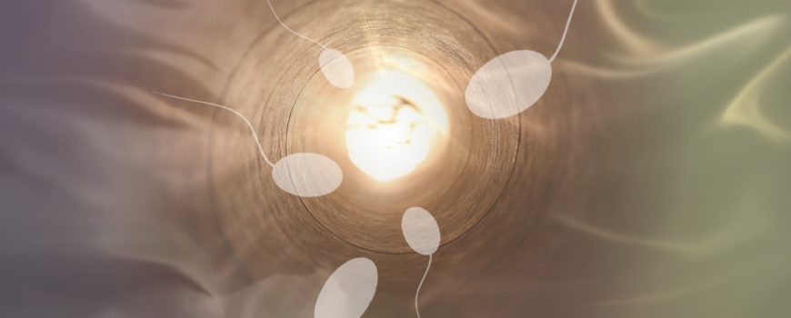 Imagen de la noticia: El mito de la abstinencia: eyacular con frecuencia es clave para la fertilidad masculina