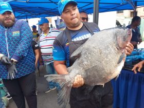 Imagen de la noticia: Municipio Cabimas Miles de personas se benefician de Jornada de venta de Pescado fresco a precios solidarios