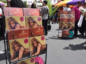 Imagen de la noticia: Karol G impulsa a emprendedores migrantes en el escenario de Coachella