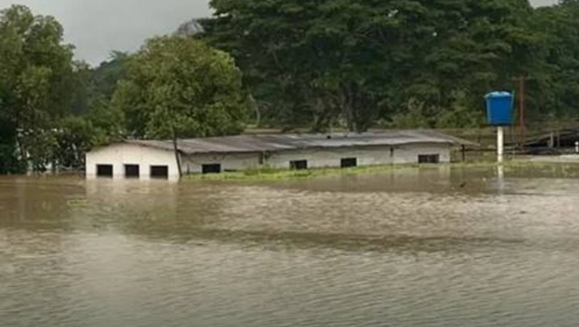 Imagen de la noticia: Alerta en el Sur del Lago: El río Zulia amenaza con desbordarse y poner en riesgo la producción agropecuaria