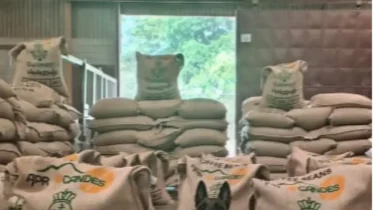 Imagen de la noticia: Alemania compra el mayor volumen de café venezolano en años