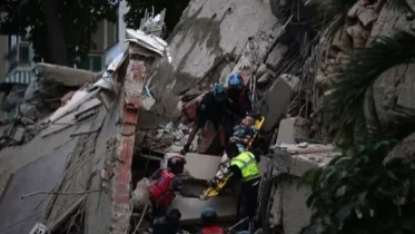 Imagen de la noticia: ¿Cómo reportar y buscar personas desaparecidas tras el terremoto?