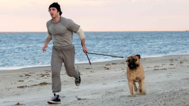Imagen de la noticia: “I Play Rocky”: la vida de Sylvester Stallone llega a la gran pantalla