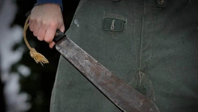 Imagen de la noticia: Guárico: hombre asesinó a su hermano con un machete