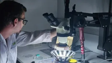 Imagen de la noticia: Avance científico contra la ceguera: crean fármacos activados por luz que devuelven la visión