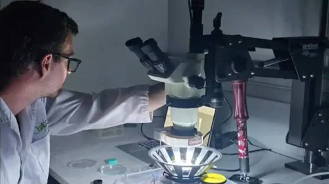 Imagen de la noticia: Avance científico contra la ceguera: crean fármacos activados por luz que devuelven la visión