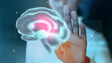 Imagen de la noticia: Científicos descubren que la versatilidad de las neuronas es la clave de nuestra mente: el enigma del cerebro