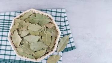 Imagen de la noticia: De la cocina al tocador: Entérate cómo incluir el laurel en tu rutina de belleza