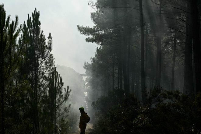 Imagen de la noticia: Francia autoriza a regresar a sus hogares a 84.000 evacuados por megaincendio