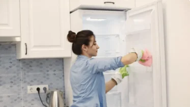 Imagen de la noticia: Claves sencillas para conservar el congelador impecable: usando ingredientes naturales y económicos