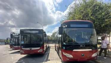 Imagen de la noticia: Transporte superficial del Metrobús llegará al interior del país: rutas y costos